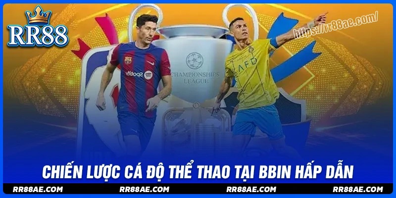 Chiến lược chơi cá độ BBIN Sport thắng đậm mỗi ngày