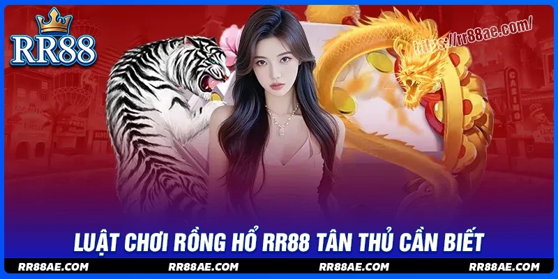 Luật chơi rồng hổ RR88 cơ bản bet thủ cần phải biết Luật chơi rồng hổ RR88 cơ bản bet thủ cần phải biết