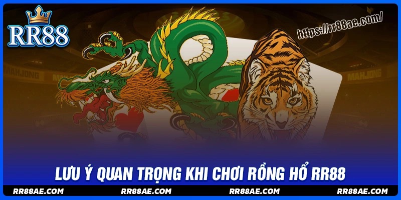 Lưu ý khi chơi rồng hổ mà tân binh cần phải nắm Lưu ý khi chơi rồng hổ mà tân binh cần phải nắm